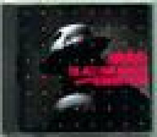 CD● バーナード・パーディ & ジャズ・ファンク・マスターズ「ファットバック！」